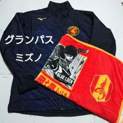 Item thumbnail for item 6662df49-1235-42cf-bb40-a071d02a7bbf