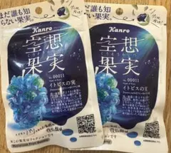 Kanro 空想果実 イトピスの実 2袋セットのサムネイル