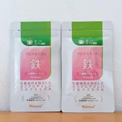 オーソサプリPro マルチミネラル 鉄 90粒 3袋セット Wellness+ - メルカリ