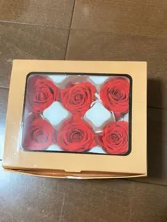 Item thumbnail for item bd54761f-3fd2-422e-bc90-d5dfbf60c8f5