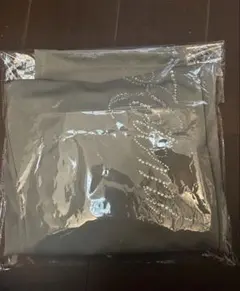 専用