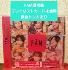 fam通常盤