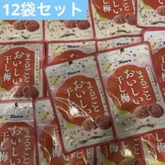 カンロ　まるごとおいしい干し梅　干し梅　14セットのサムネイル