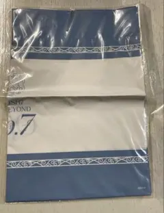 Item thumbnail for item 610af3a3-4a6f-495d-8346-097387a62fac