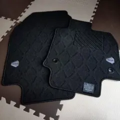 Item thumbnail for item dae0f368-cbfc-42b4-bbaf-869086a3f8b0