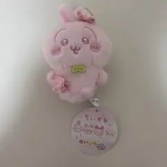 ちいかわ　ぬいぱれっと さくらいろ　マスコット　うさぎ