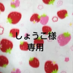 ☆しょうこ様専用☆おっきなアンパンマンマスコット 中古品 ご希望の2体セット