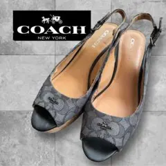 Item thumbnail for item 879d309f-9f27-447a-a968-335f78f59b04