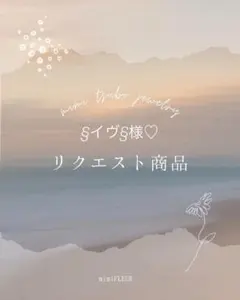 §イヴ§ 様 リクエスト商品 おまとめ