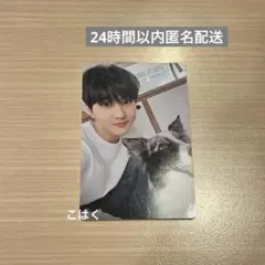 ENHYPEN ジョンウォン　アンケートトレカ