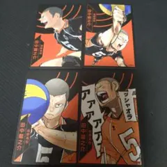 ハイキュー カード 田中