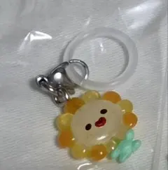 JOCHUM めじるしアクセサリー　ガチャ　ジェオチャム　Bira