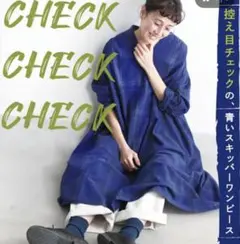 soulberry/チェック＆ストライプ 控え目チェック青いスキッパーワンピース