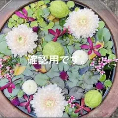 確認用(1) 梱包、収納等の説明補足 お知らせ