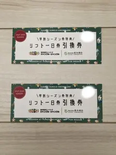 ジャングルジャングル リフト1日引換券 4枚セット（2025-2026） 2026年最新】黒伏高原スノーパークジャングル・ジャングルの人気