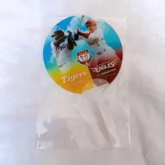 大山　村林　うちわ