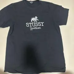 STÜSSY Tシャツ ブラック