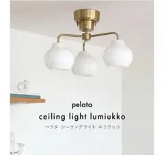 Item thumbnail for item 856a239b-54ce-4b57-be82-062abc6cd145