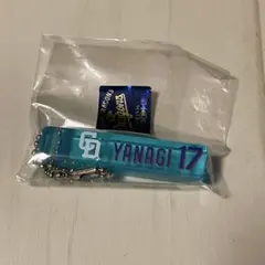 中日ドラゴンズ ガチャガチャ　柳投手 キーホルダー