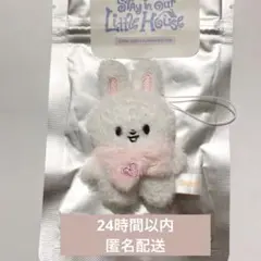 SKZOO SECRET PLUSH MICRO Leebit リービット