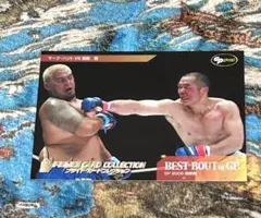 PRIDE カードコレクション 五味隆典 VS 桜井マッハ速人 - メルカリ