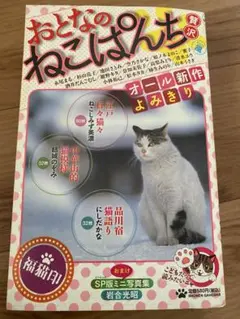 Item thumbnail for item f1c74782-f1ab-4fb6-ab7f-9df8e73b24cd