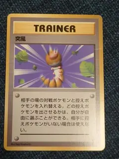 ポケ男様 リクエスト 2点 まとめ商品