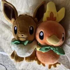 ポケモン不思議のダンジョン 救助隊DX ピカチュウ アチャモ ぬいぐるみ