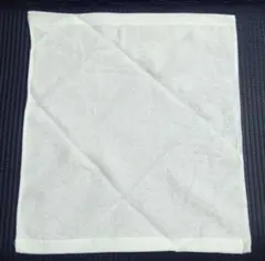 Item thumbnail for item 2e838f3c-4fcc-4ef7-88c8-aa5041e8e5e6