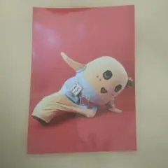 ふなっしー 浅草での写真＆ヘビーアクリルスタンドセット