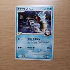 ポケモンカード ギャラドスG LV.46