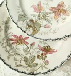 希少 美品 ジョワジールロワ 切り花 紫陽花 平皿 フランスアンティーク
