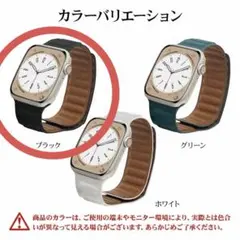 【美品】Rasta BananaラスタバナナApple Watch バンド