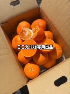 ここえり様専用出品
