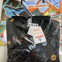 Item thumbnail for item bdd87d7a-9efb-4bec-a06f-d6971dcc12a9