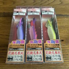2026年最新】ダートマックスTR 30g エギリーの人気アイテム - メルカリ