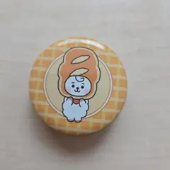 BT21 　RJ缶ケース