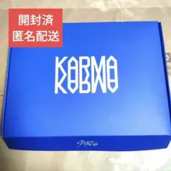 Straykids スキズ karma ceremony アルバム 開封済み