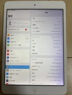 Apple iPad mini 2 16GB スペースグレー