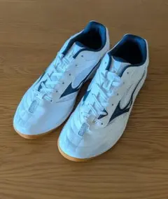 Mizuno Wave Drive9 28cm　卓球　シューズ
