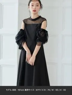 ルイルエブティック ギャザーシアースリ ーブフレアパーティードレス