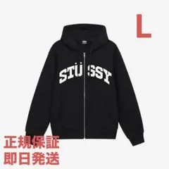 ❗️期間限定SALE❗️ステューシー ブロック スポーツ ジップ フーディ 黒L
