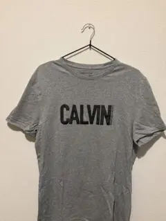 CALVIN KLEIN JEANS グレー Tシャツ S/P/CH