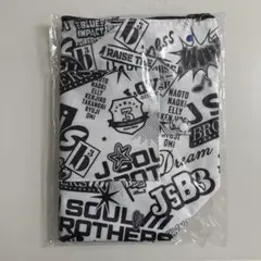 三代目JSOULBROTHERS バッグ
