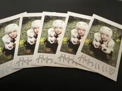 &TEAM Back to life HARUA 200枚