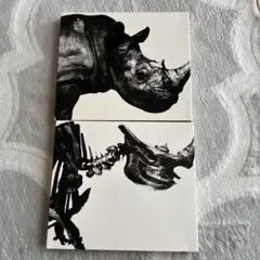 2025年最新】Mr.Children 1992 1995の人気アイテム - メルカリ