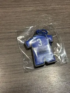 町田ゼルビア スポーツ選手