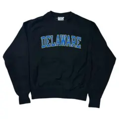 Champion リバースウィーブ 青タグ DELAWARE デラウェア