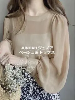 JUNOAH/ジュノア/バルーンスリーブシアーブラウス/ブラウス/ベージュ系長袖