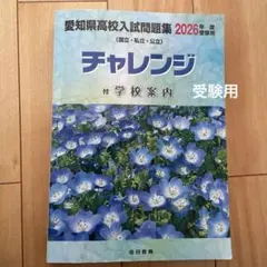 Item thumbnail for item 4a537323-c0bc-48fc-8537-c012f51d4ae9